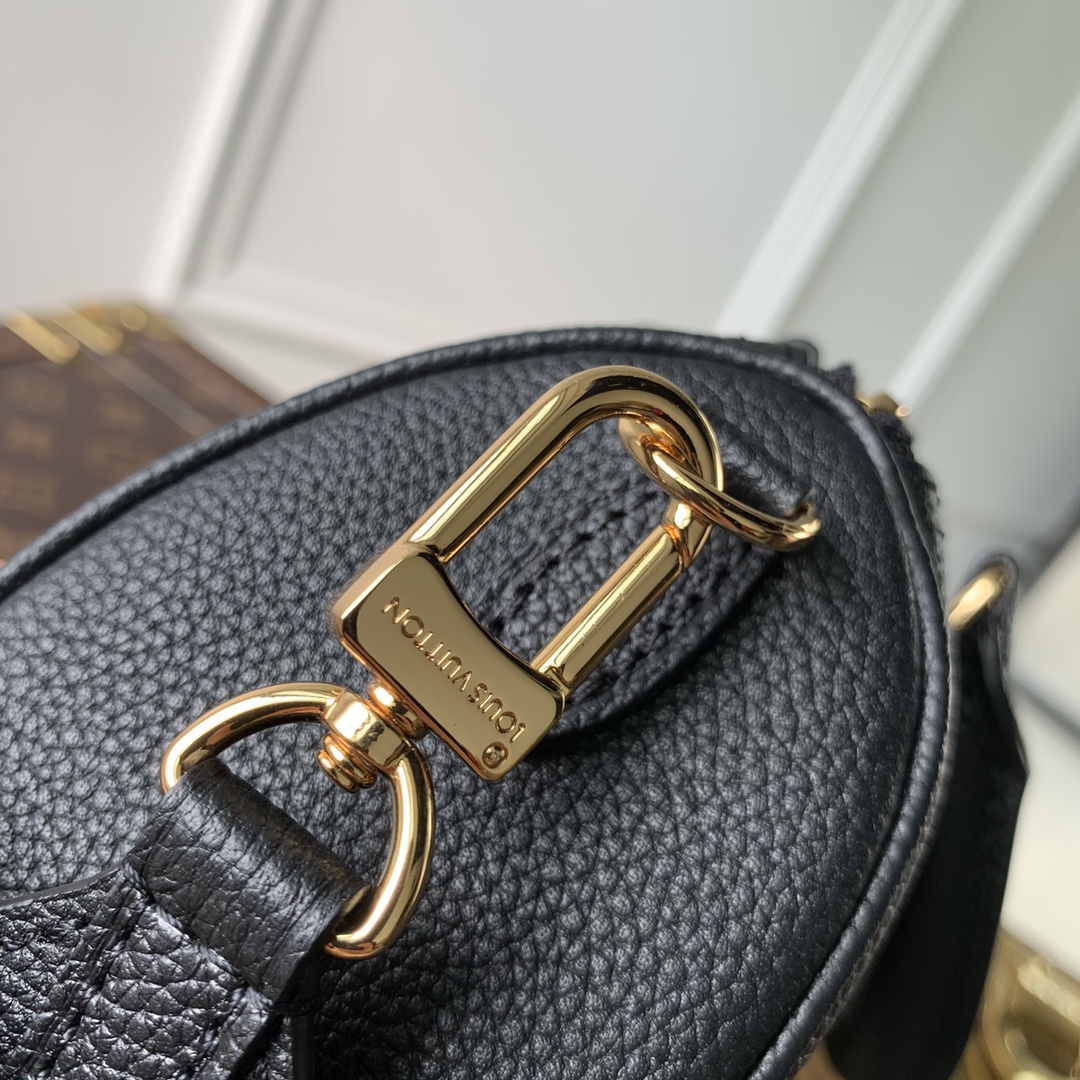 LV Speedy Bags